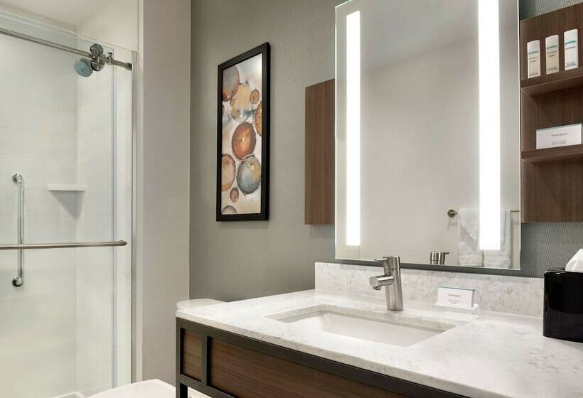 בית מלון כפרי Hilton Garden Inn Chicago Downtown South Loop