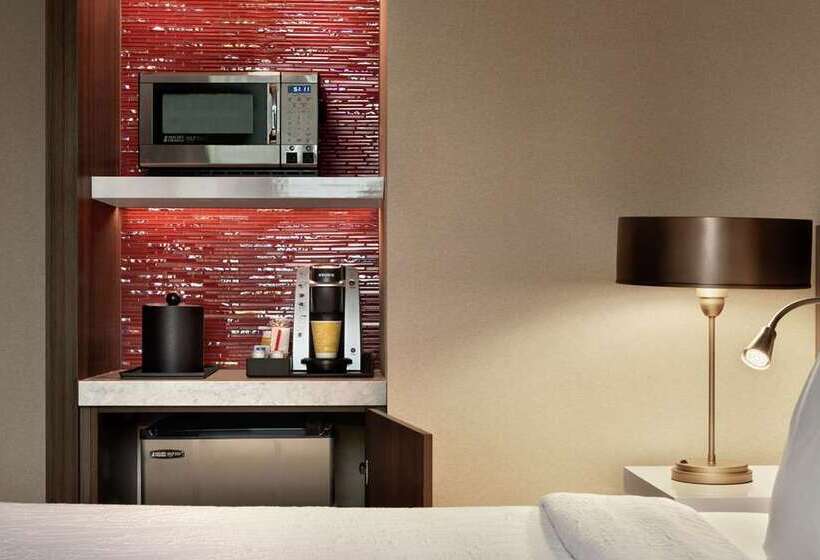 هتل Hilton Garden Inn Chicago Downtown South Loop