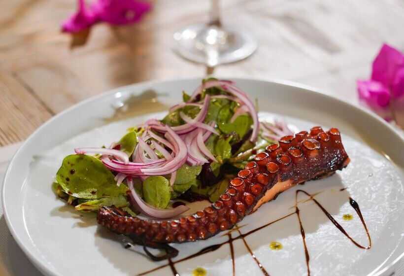 Отель Kassandra Boutique