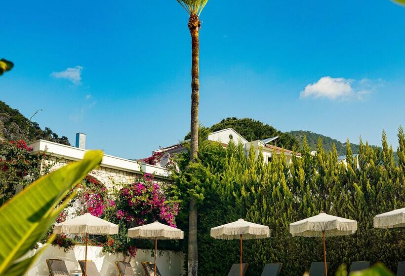 Отель Kassandra Boutique