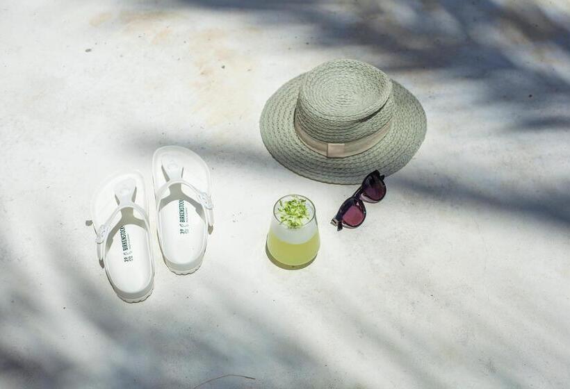 Отель Kassandra Boutique