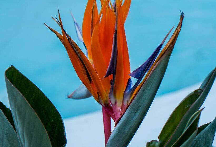 Отель Kassandra Boutique