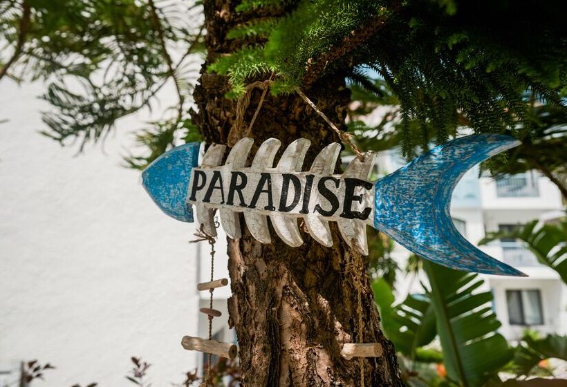 Отель Kassandra Boutique