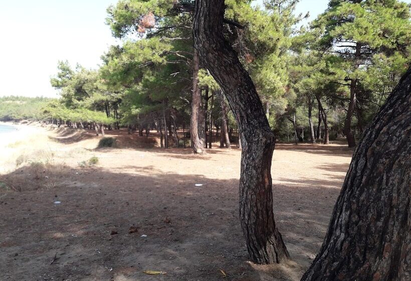 ホテル King Apart Daire