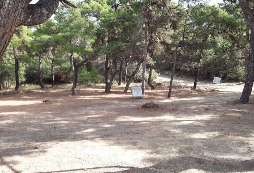 ホテル King Apart Daire