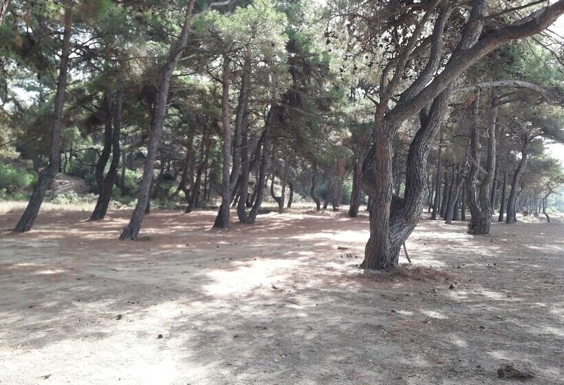 ホテル King Apart Daire