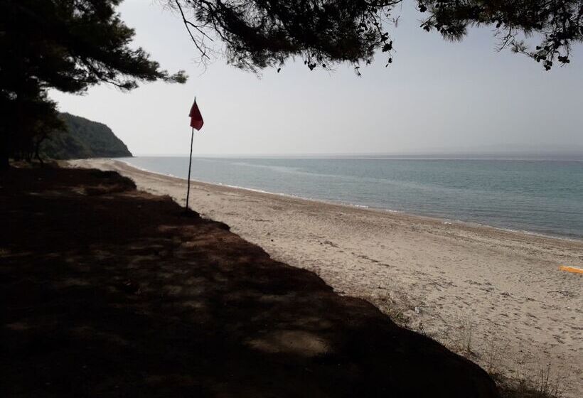 ホテル King Apart Daire