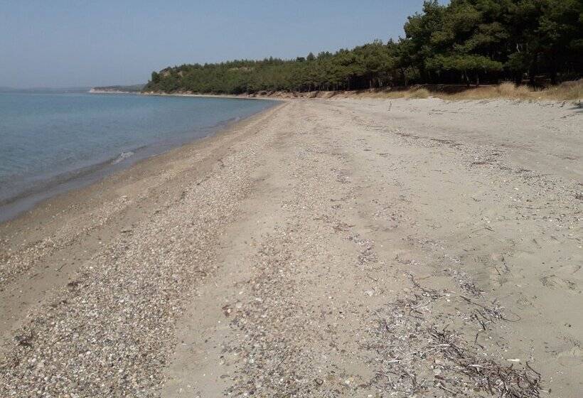 ホテル King Apart Daire