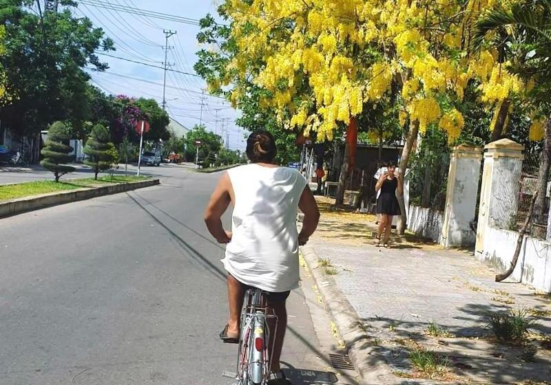 هتل Rice River Villa   Hoi An