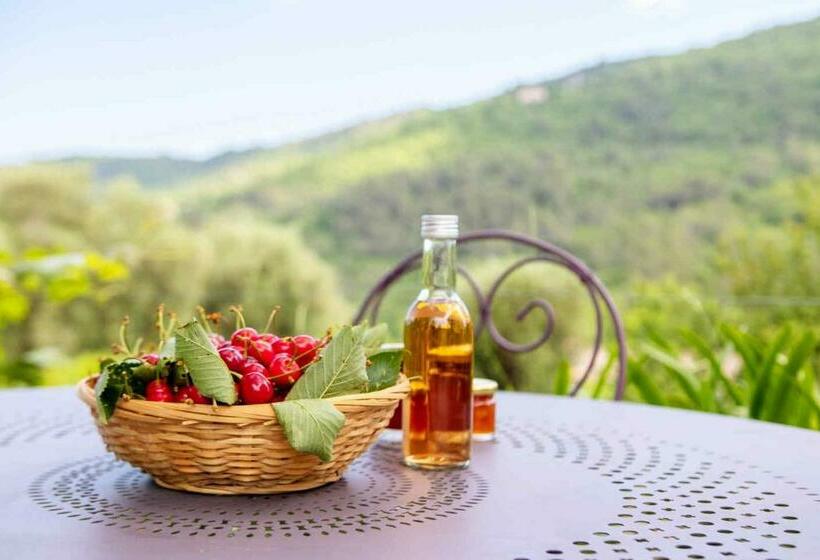 La Maison De Noélie  1er étage