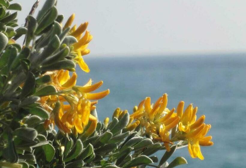 La Maison De Noélie  1er étage