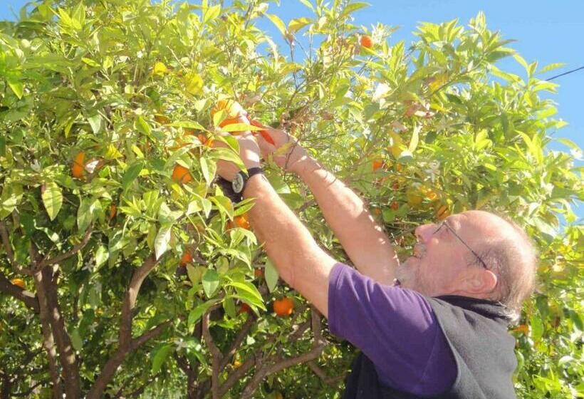La Maison De Noélie  1er étage