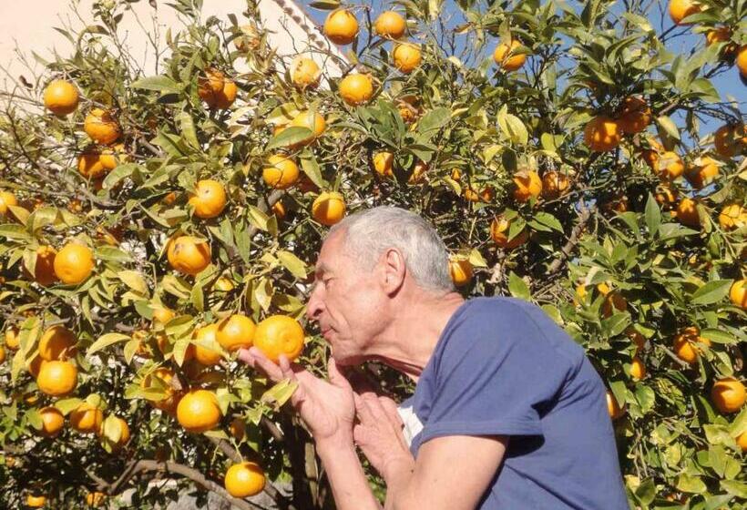 La Maison De Noélie  1er étage