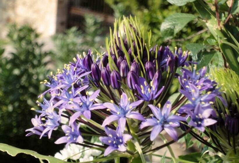 La Maison De Noélie  1er étage