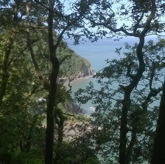 Middle Thorne, Great Field Lodges