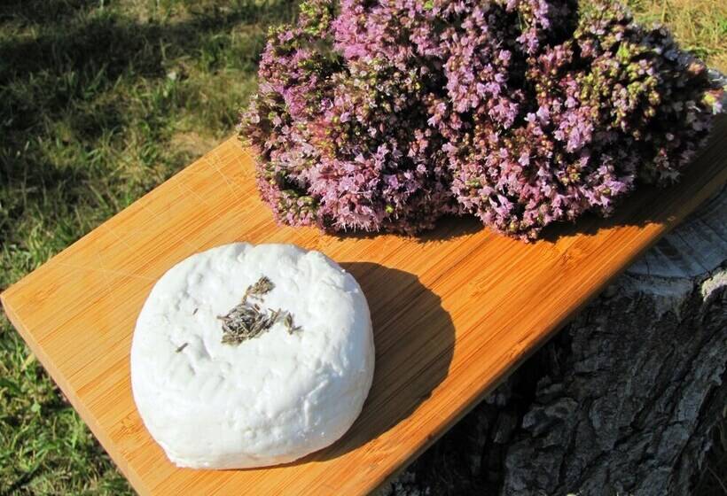 بنسيون Auberge Des Censiés