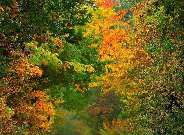 بنسيون My Way Guest House