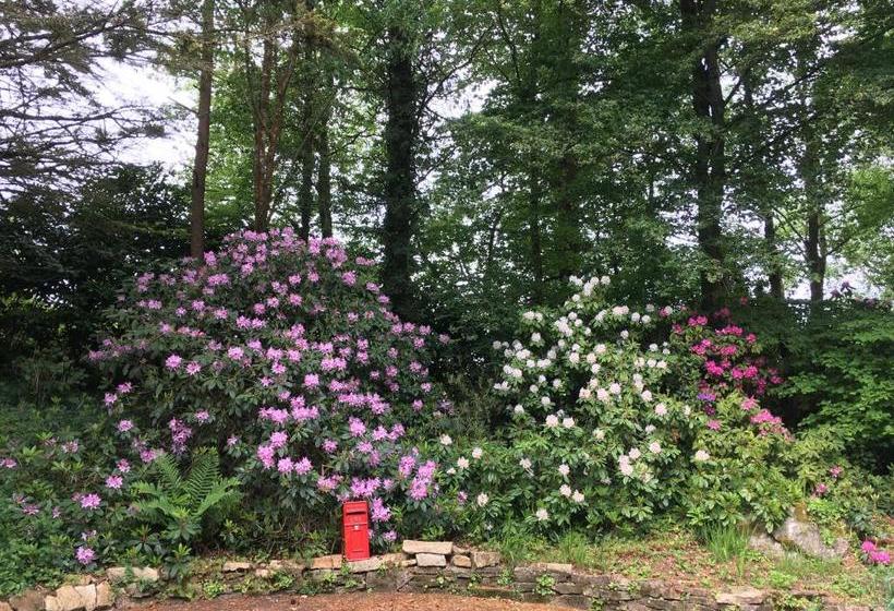 ペンション Stang Roz House