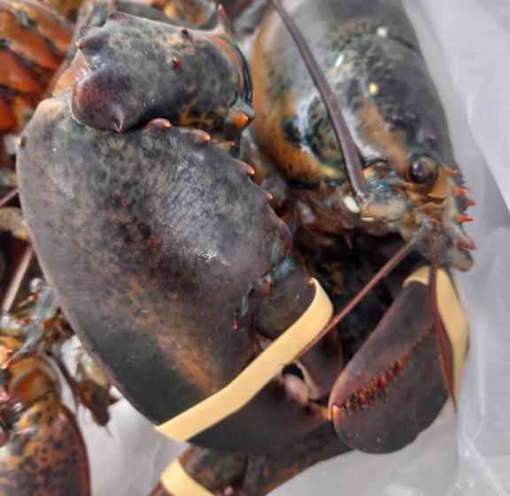 ペンション The George And Dragon Inn