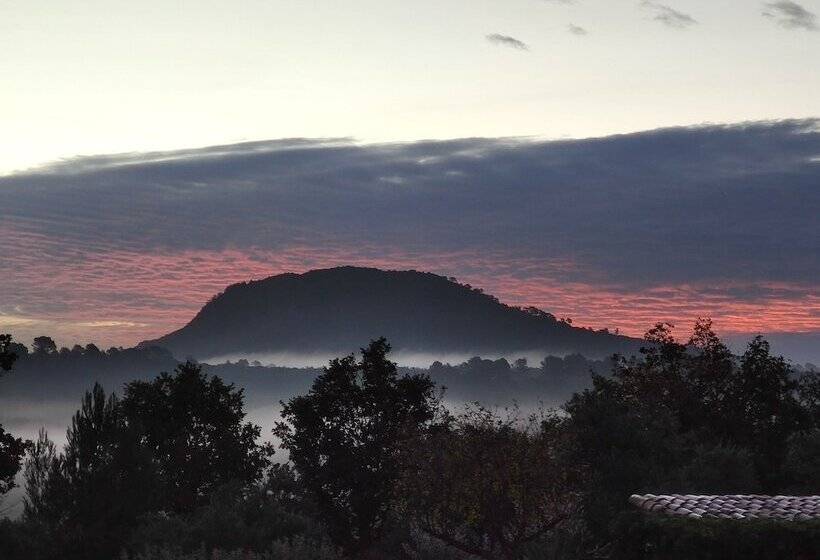 Villa Otiliabed And Breakfastchambres D Hotes En Provence