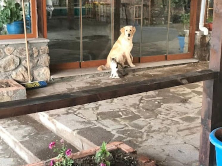 Assos Yenibahce Motel