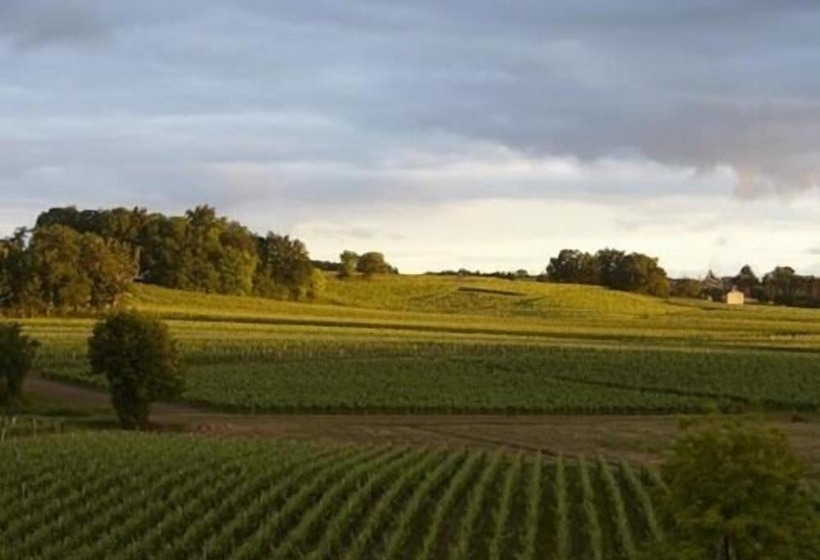 تختخواب و صبحانه Château La Rose Perriere