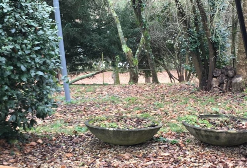 住宿加早餐  Domaine De Motte