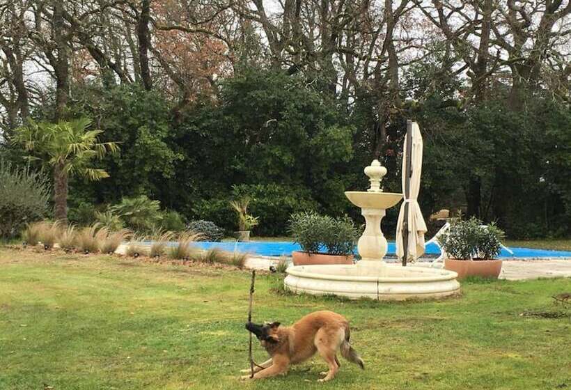 住宿加早餐  Domaine De Motte