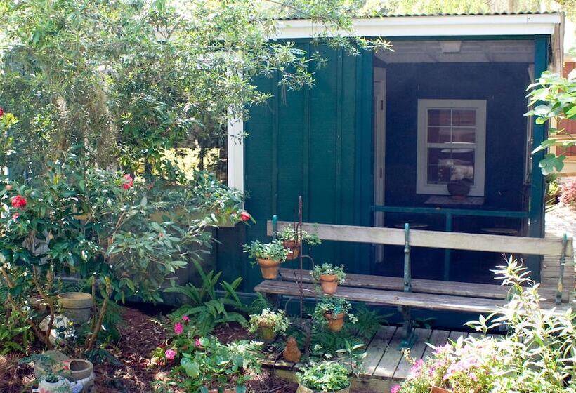 مبيت وإفطار Hibiscus Coffee & Guesthouse