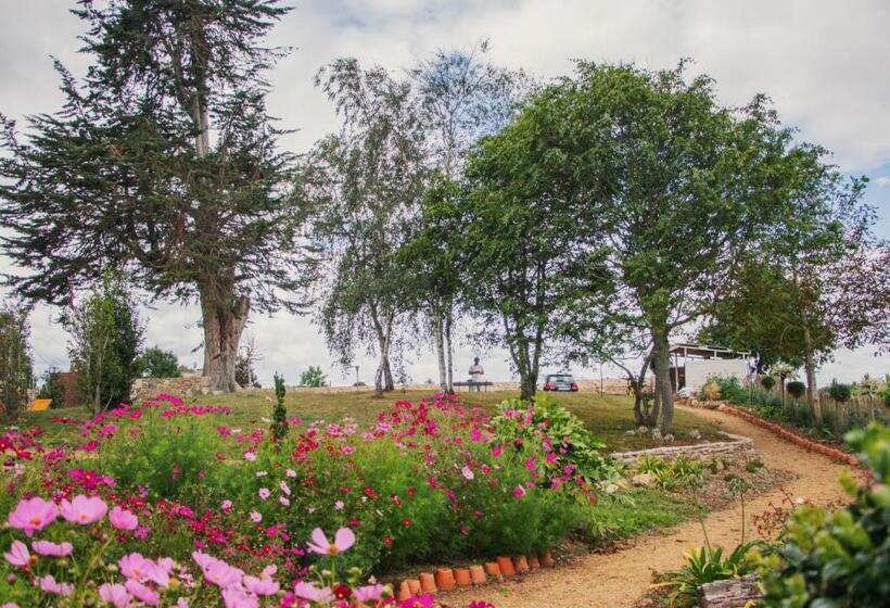 צימר Les Gites De Kerégal   La Cabane De Charlotte