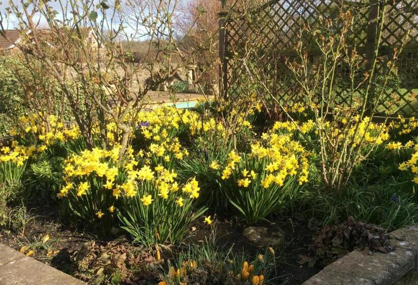 צימר Quiet Woman House