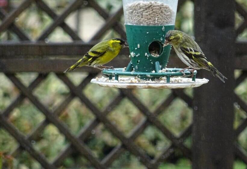 צימר Quiet Woman House