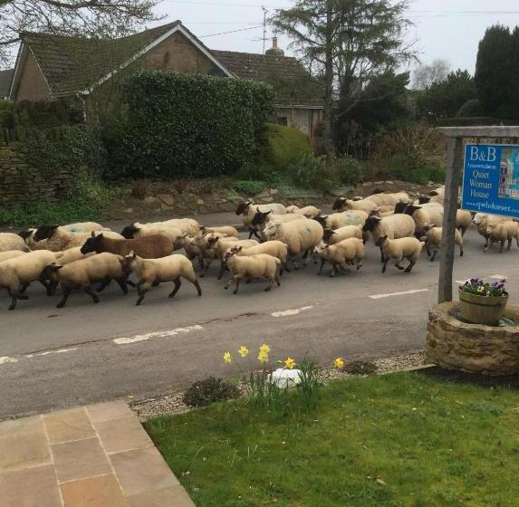 צימר Quiet Woman House