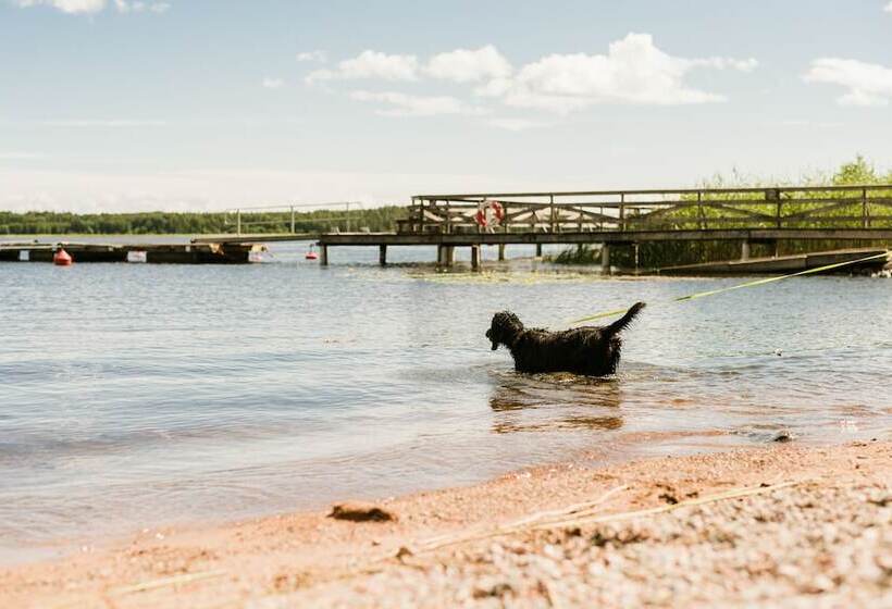 First Camp Duse Udde   Säffle