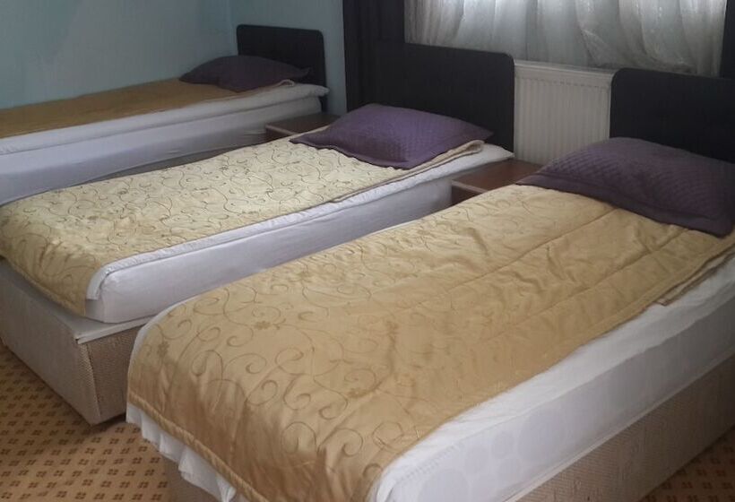 בית מלון כפרי Esin Pansiyon