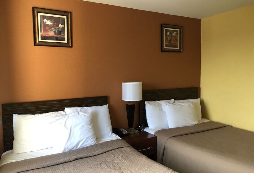 בית מלון כפרי The Vue Express @ 39th Street