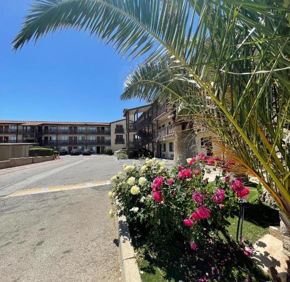 모텔 Palms Inn & Suites