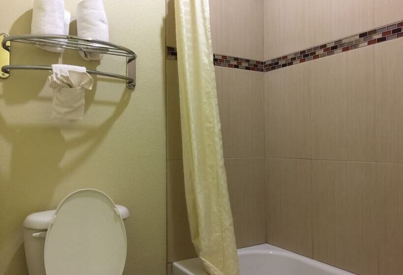 فندق على الطريق Pearsall Inn And Suites