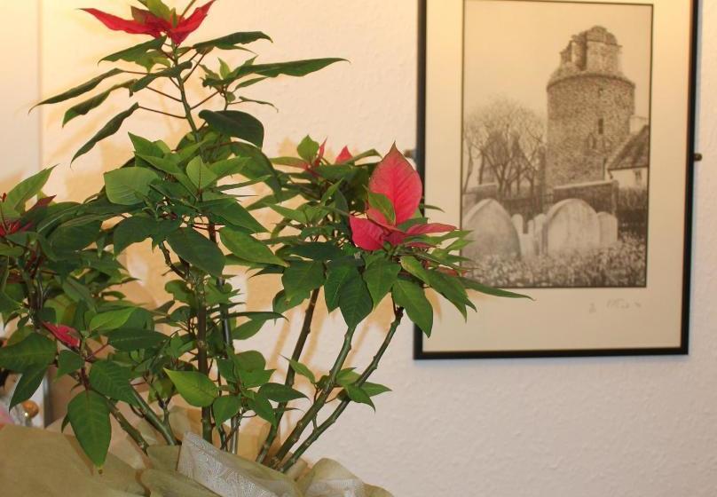 ペンション Arden Guest House