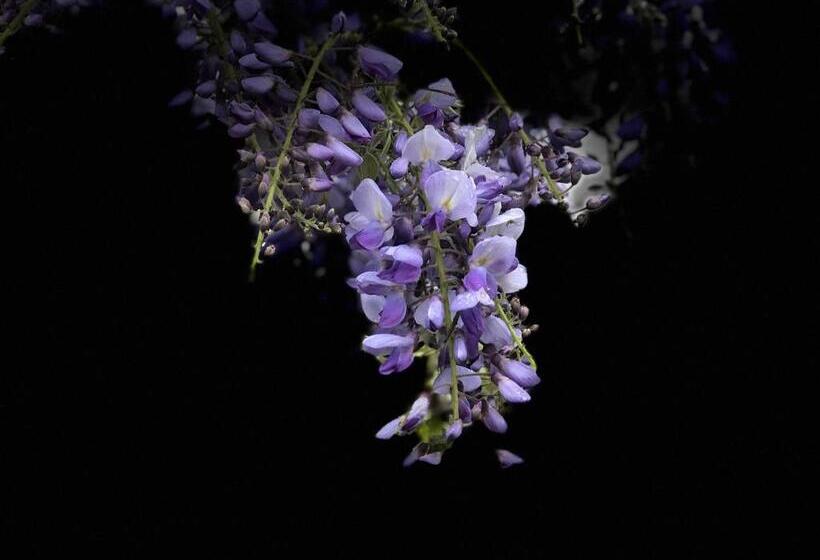 بنسيون Les Chambres D Hôtes Du Manoir De Roz Maria