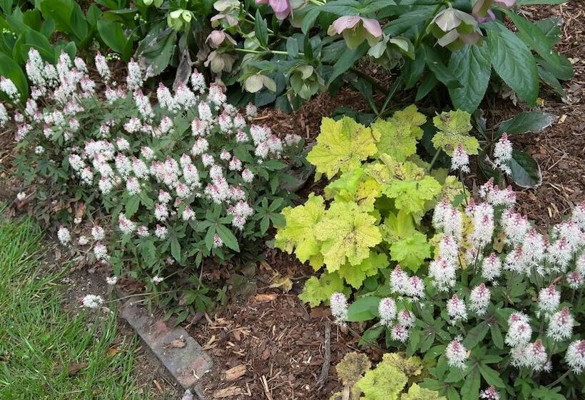 Pinecrest Bed & Breakfast