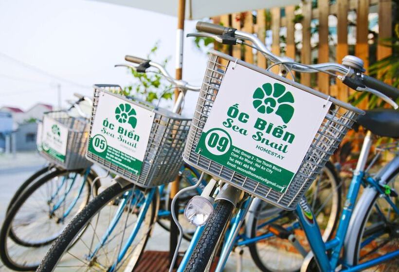 تختخواب و صبحانه An Bang Seasnail Homestay