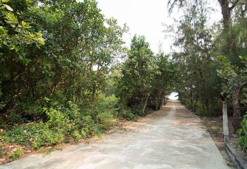 تختخواب و صبحانه An Bang Seasnail Homestay