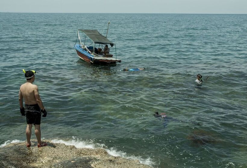 تختخواب و صبحانه An Bang Seasnail Homestay