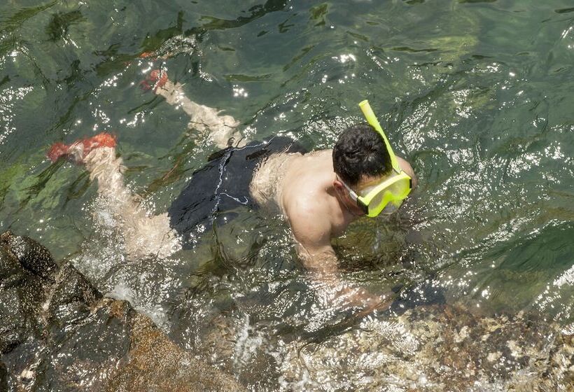 تختخواب و صبحانه An Bang Seasnail Homestay