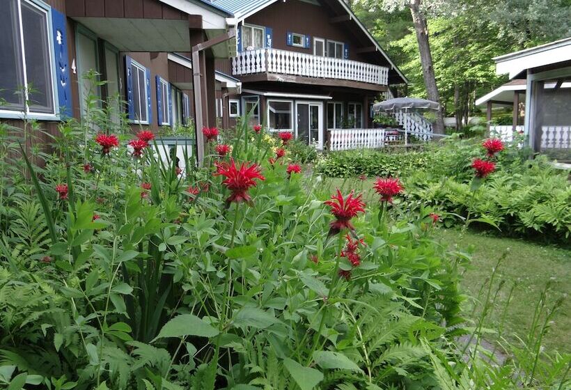 مبيت وإفطار Blue Gentian Lodge At Magic Mountain