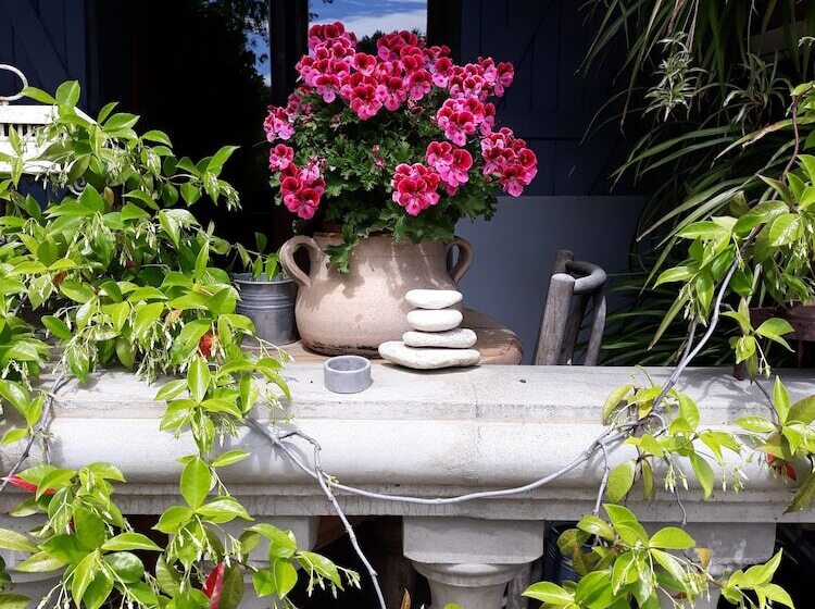 Bed and Breakfast Casa Di Rosa