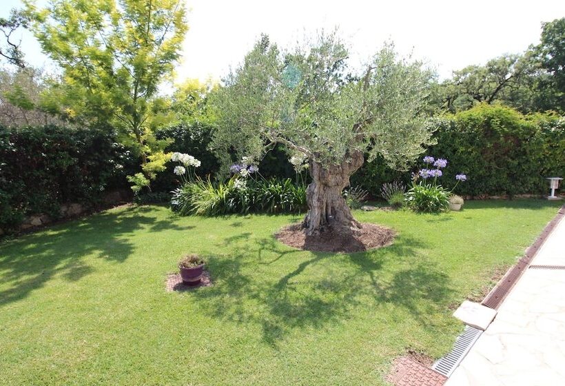 Bed and Breakfast La Villa Jalna Chambres Appartement