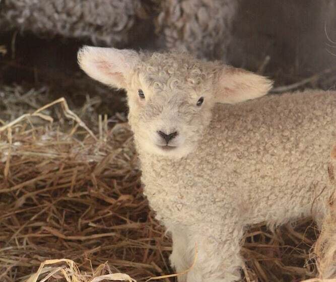 ベッドアンドブレックファースト The Granary