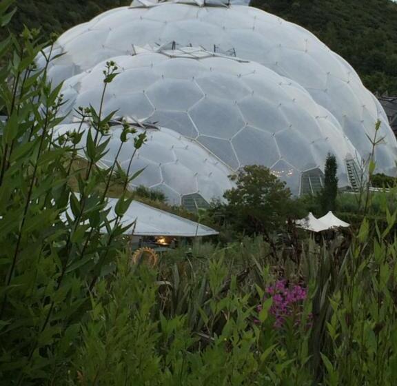 צימר Vine Cottage